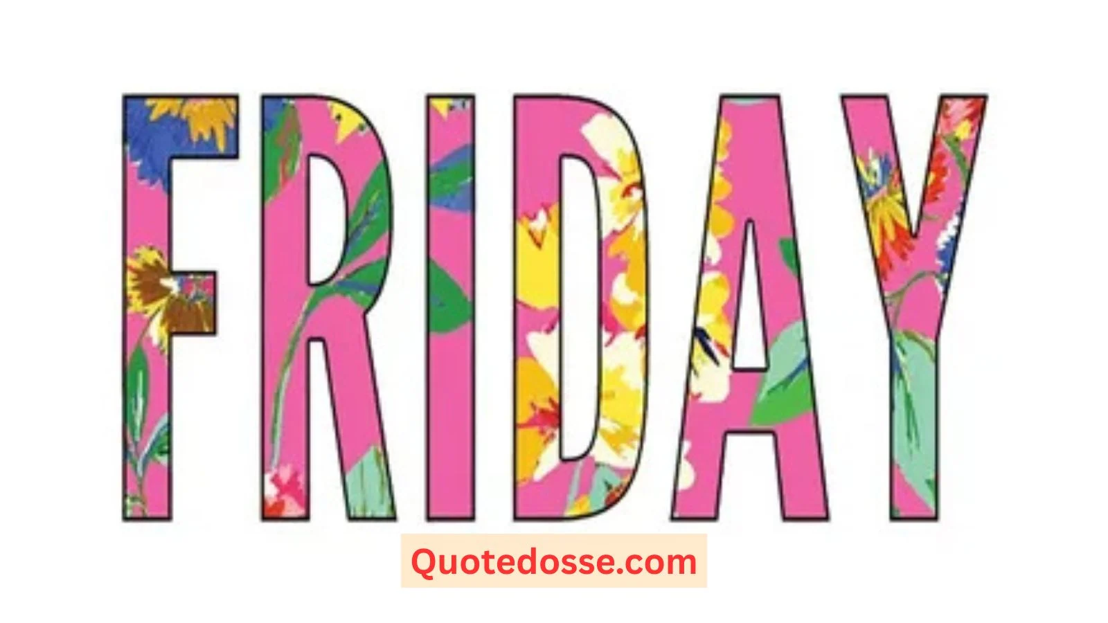 Read more about the article 255+ Powerful Friday Quotes to Refresh and Recharge In 2025