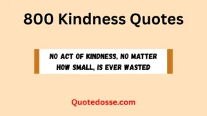 Read more about the article 800+ Powerful Kindness Quotes to Brighten Your Day In 2025