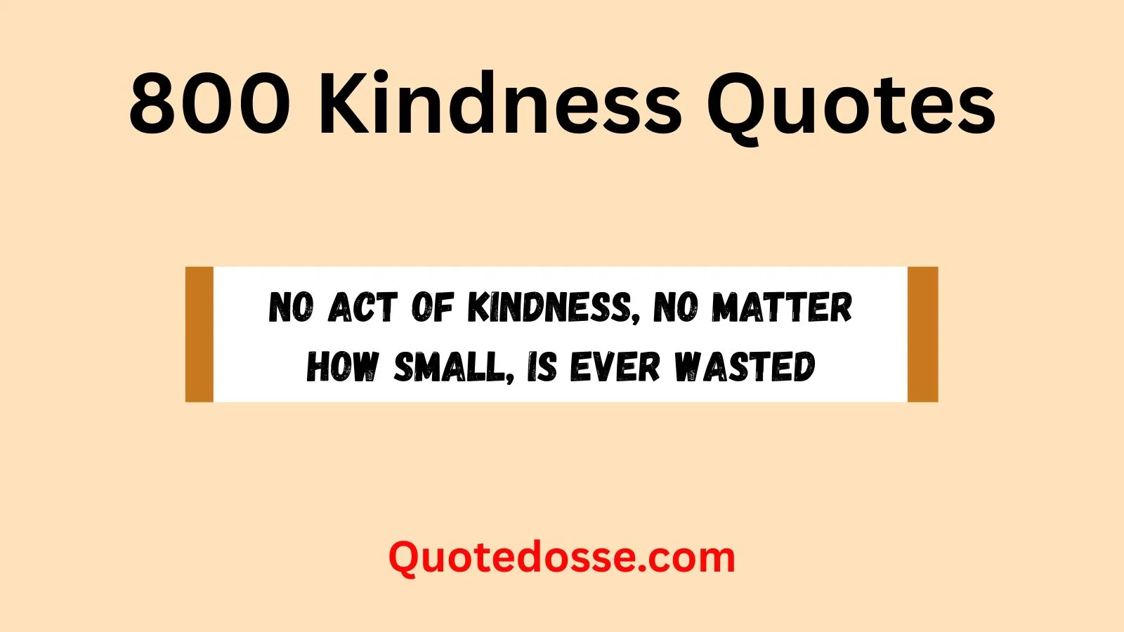 Read more about the article 800+ Powerful Kindness Quotes to Brighten Your Day In 2025