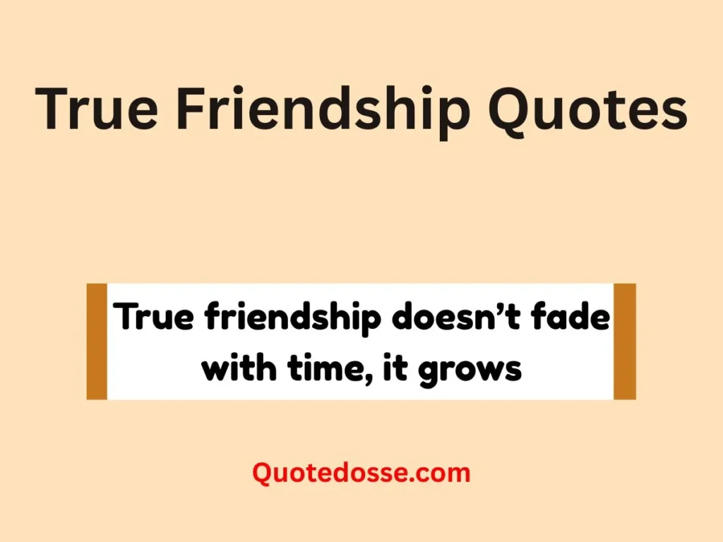 True Friendship Quotes